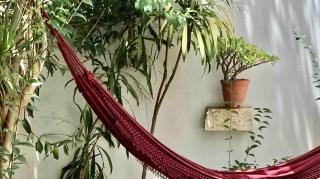 Quiet and Charming Home - with Yard, City Center - Lisbona - 1