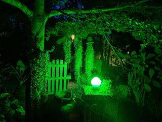 Rwobuyenje Family Resort - 8