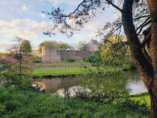 La Chauvinière - Montaigu-Vendée - 7