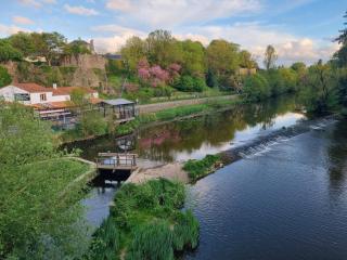 La Chauvinière - Montaigu-Vendée - 6