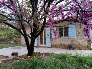 Location maison LORGUES "Les victorines" - Lorgues - 5