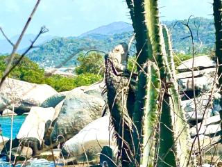 Hostal El Eden Dentro del Parque Tayrona - El Zaino - 3