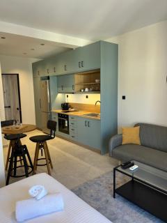POST VIEW Center Luxury Apartments 4 - Ioannina - 1