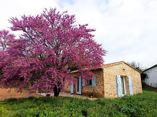 Location maison LORGUES "Les victorines" - Lorgues - 0
