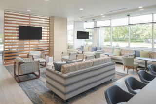 SpringHill Suites by Marriott Tampa Downtown - Tampa - 4