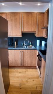 Spacious 1BHK in Upper Berkely BK4 - London - 7