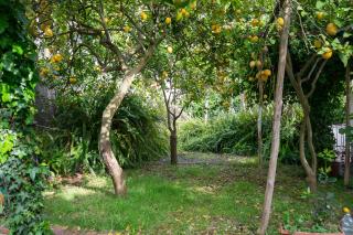 Villa Pace - 2