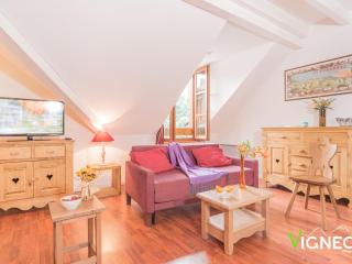 Appartement 2 pièces cabine avec terrasse, piscine et parking - 6 personnes, près de Saint-Lary-Soulan - FR-1-504-131 - Vignec - 0
