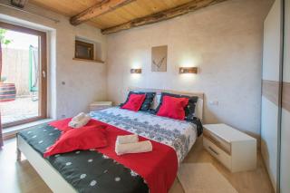 Villa Irena, a romantic villa nestled in the heart of Istria - Pulići - 4