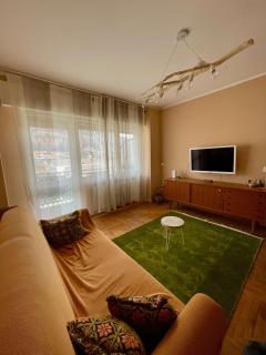 Cozy flat Pieve di Cadore - Pieve di Cadore - 9