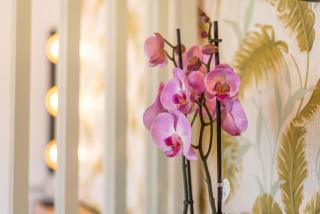 Urban Luxe Studio Torremoilinos - Torremolinos - 7