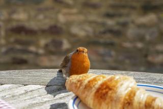 Riverside Apartment with Stunning Views & Patio - 2