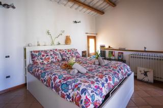 Bloom and Wood - A Zen retreat at Villa Emily - Padua - 9