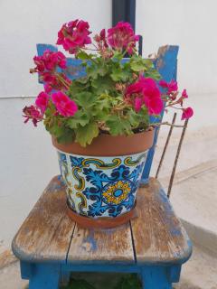 Solemar - San Vito lo Capo - 5