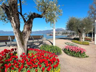Bellavista - Bardolino - 4