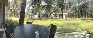 Vakantie woning "Huisje Boszicht" - Haarle - 9
