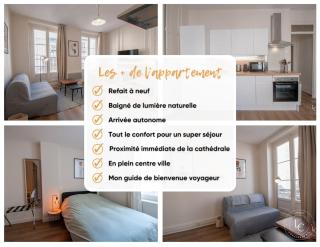 Fully renovated apartment - Rue de Bourgogne - Orléans - 3