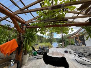 #Beautiful outdoor area and cozy small cottage# - Fotlandsvåg - 5