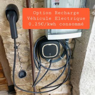 L'INATTENDU Vue imprenable,clim,parking avec borne de recharge, ménage inclus - Montaigu - 1