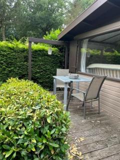 Chalet op groen park - 4