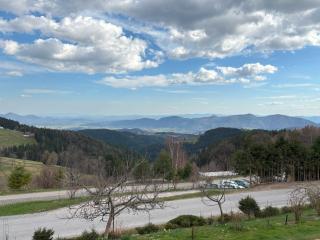 Apartment Panorama - Zreče - 4