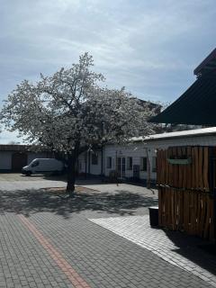 Unseburger Brauhaus GmbH Ferienwohnung 6 - - 2