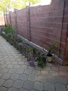 Good house - Bischkek - 8