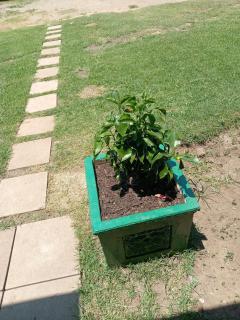 Green Haven - Benoni - 3