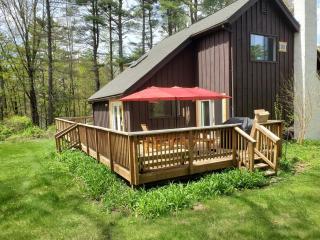 Rustic adirondack styled house with lake views, Sleep 8 - Lake George - 1