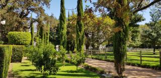 Verdun Country House - Franschhoek - 5