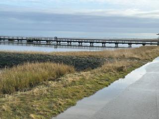 Seeliebe - Butjadingen - 8
