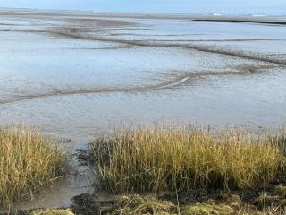Seeliebe - 4