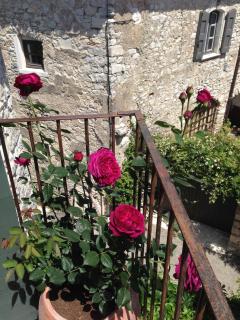 Charming House with Courtyard Garden and Views - La Celle-sous-Gouzon - 7