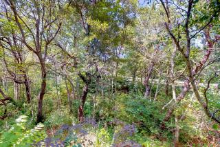 Bay Colony Retreat - 4