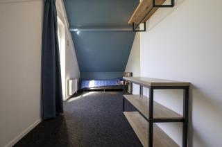 Relax on vacation in comfortable holiday home - Ewijk - 9