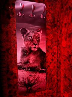 L'H LION's RED SUITE - Castrovillari - 8