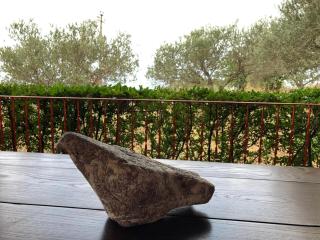 La Casa nel Vigneto - San Marco dʼAlunzio - 4