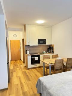 Riverside Apartment Praha - Prag - 1