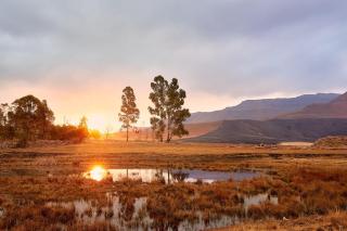 Bergview Farm Cottage by First Private Stays - Underberg - 7