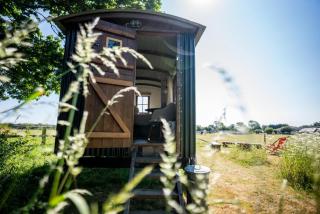 Harbour Ranch Hut - Rustic Countryside Escape - Emsworth - 9
