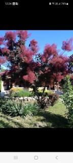 Kuća na dan Villa Holiday - 8