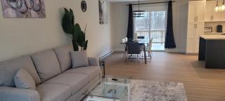 Charm meets North - 4