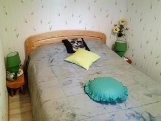 Appartement F2 plein sud -vue lac - Gérardmer - 5