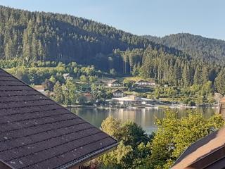 Appt F2 à 200m du lac situé plein sud -vue lac - 1