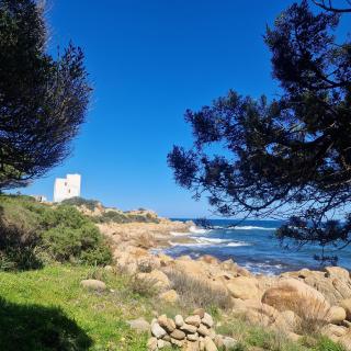 Appartamento Fabio Caletta beach - La Caletta - 1