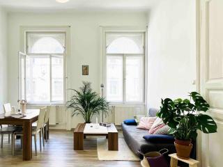 Your Charming and Spacious Historical Home - Budapest - 5