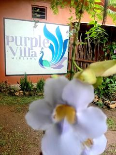 New Purple Villa - Weligama - 9