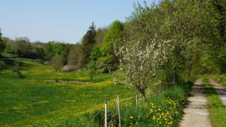 Eselstall Karl - - 7
