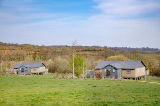 Kingfisher - Kittisford Barton - Wellington - 9