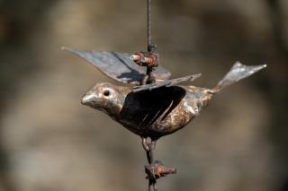 Kamala Karoo Sanctuary - 8